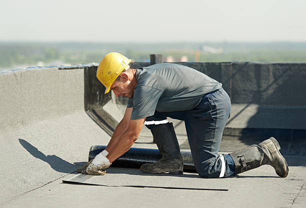 Best Residential Insulation in Terrace Heights, WA