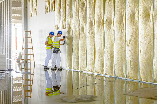Best Geographic-Specific Insulation Services in Terrace Heights, WA